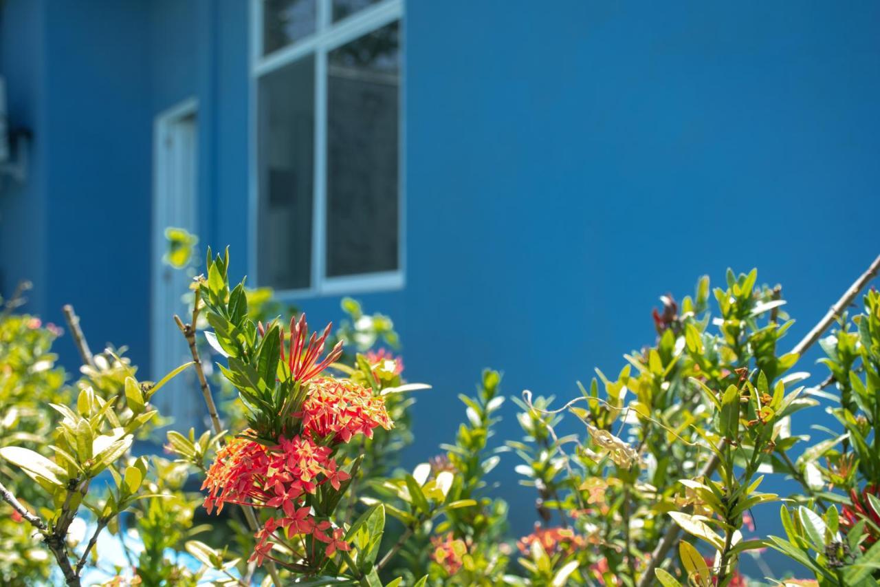 Mahalo House B&B - Tu Casa Hospedaje En San Andres Isla - Exterior photo